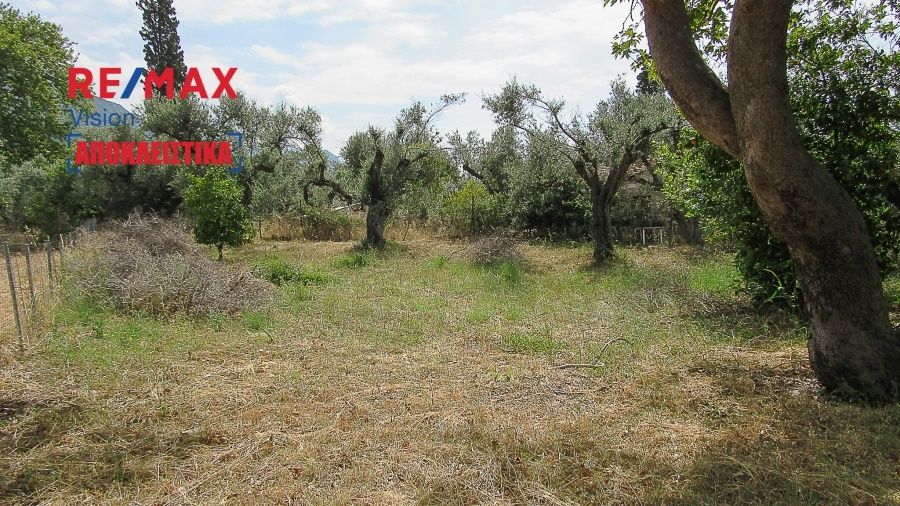 Οικόπεδο 578,14 τ.μ., Προς πώληση, Ευπάλιο, Μαραθιάς - 4