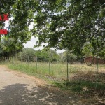 Οικόπεδο 755,52 τ.μ., Προς πώληση, Ευπάλιο, Μαραθιάς - 1