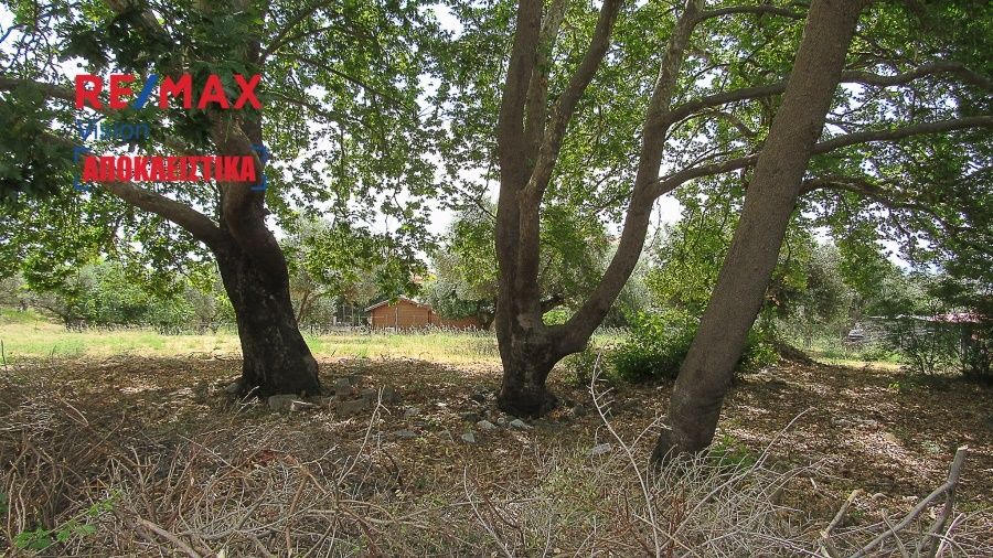 Οικόπεδο 755,52 τ.μ., Προς πώληση, Ευπάλιο, Μαραθιάς - 2