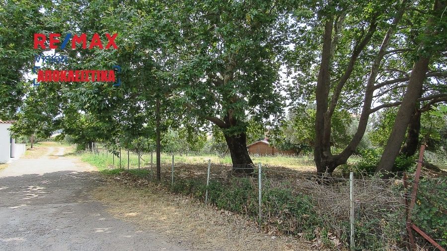 Οικόπεδο 755,52 τ.μ., Προς πώληση, Ευπάλιο, Μαραθιάς - 3