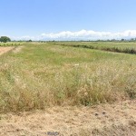 Οικόπεδο 8000 τ.μ., Προς πώληση, Λάρισσος, Μετόχι - 1