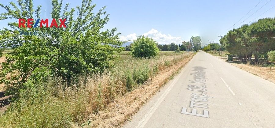Οικόπεδο 8000 τ.μ., Προς πώληση, Λάρισσος, Μετόχι - 2