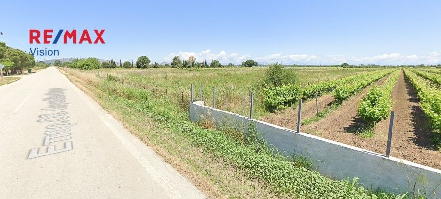 Οικόπεδο 8000 τ.μ., Προς πώληση, Λάρισσος, Μετόχι - 3