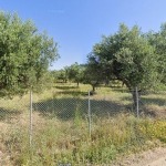 Οικόπεδο 4522,38 τ.μ., Προς πώληση, Δυτικής Αχαΐας, Νιφοραίικα - 1