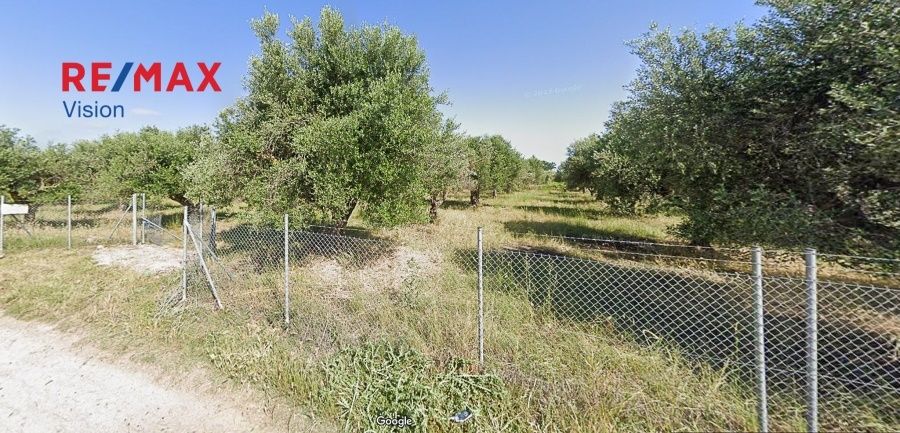 Οικόπεδο 4522,38 τ.μ., Προς πώληση, Δυτικής Αχαΐας, Νιφοραίικα - 2