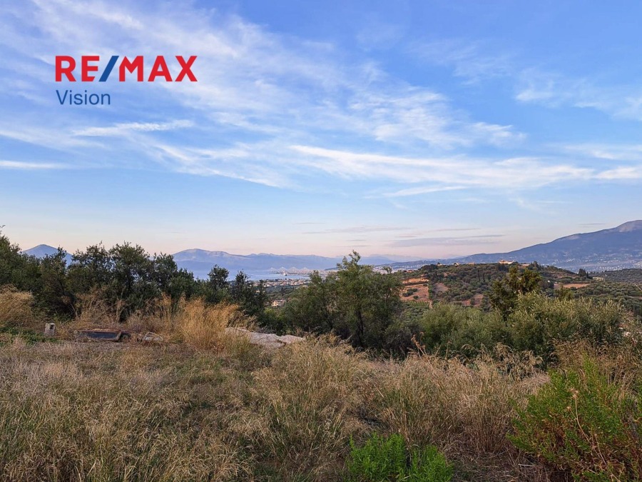 Οικόπεδο 3460 τ.μ., Προς πώληση, Παραλία, Ρογίτικα - 5