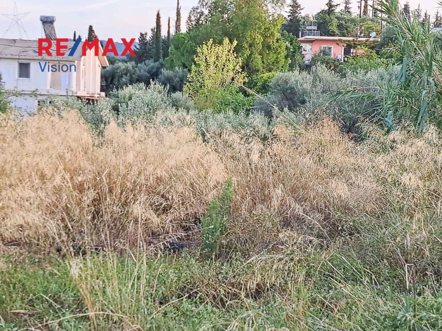 Οικόπεδο 3460 τ.μ., Προς πώληση, Παραλία, Ρογίτικα - 6