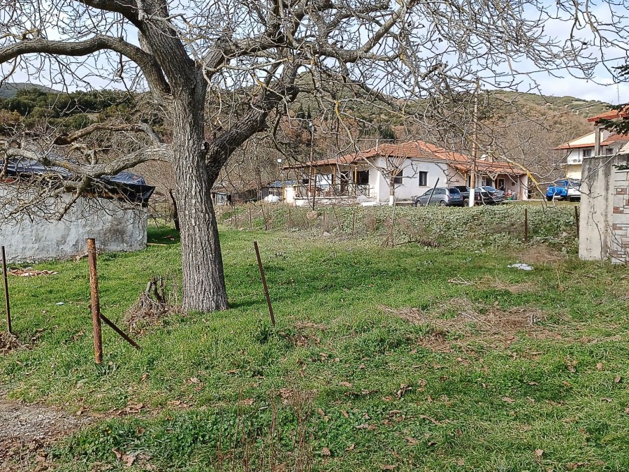 546568 – Οικόπεδο Προς Πώληση, Καλάβρυτα, 345 τ.μ., €35.000 - 1