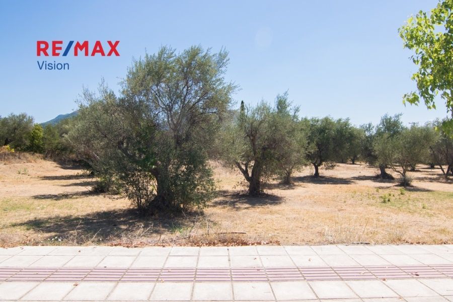 Οικόπεδο 1230 τ.μ., Προς πώληση, Πάτρα, Εγλυκάδα - 4