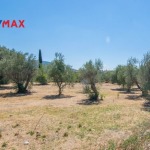 Οικόπεδο 1915 τ.μ., Προς πώληση, Πάτρα, Εγλυκάδα (547828) - 1