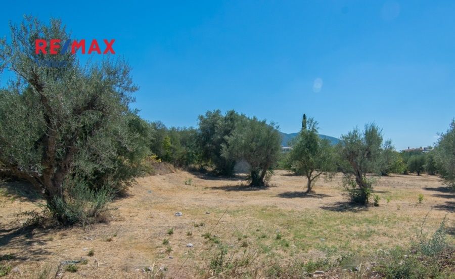 Οικόπεδο 1915 τ.μ., Προς πώληση, Πάτρα, Εγλυκάδα - 3