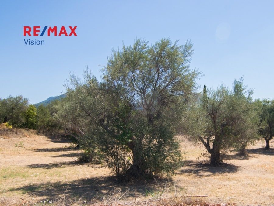 547828 – 4 Οικόπεδο 1915 τ.μ., Προς πώληση, Πάτρα, Εγλυκάδα - 4