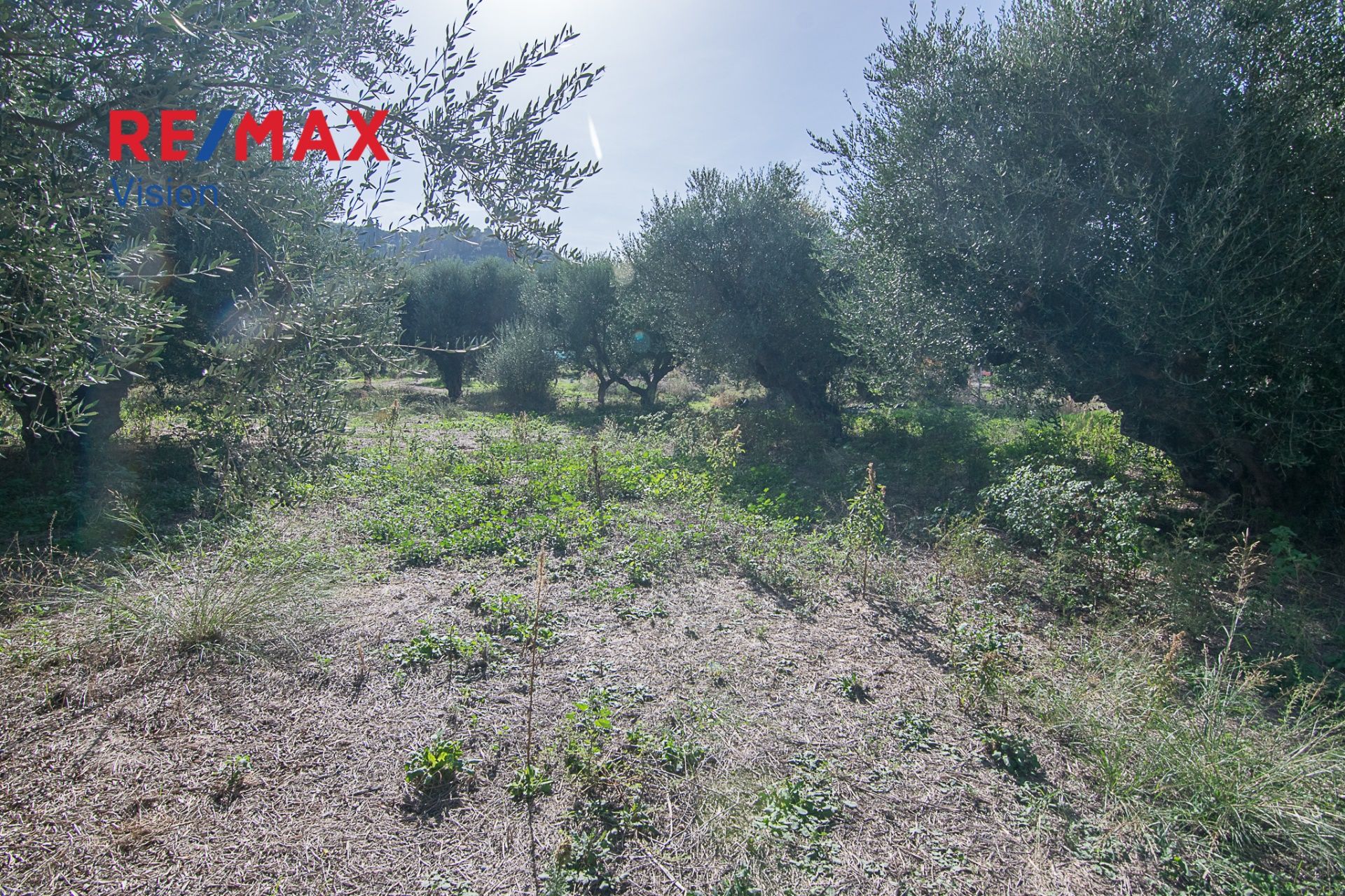 553997 – 10 Οικόπεδο 408 τ.μ., Προς πώληση, Βραχναίικα - 10