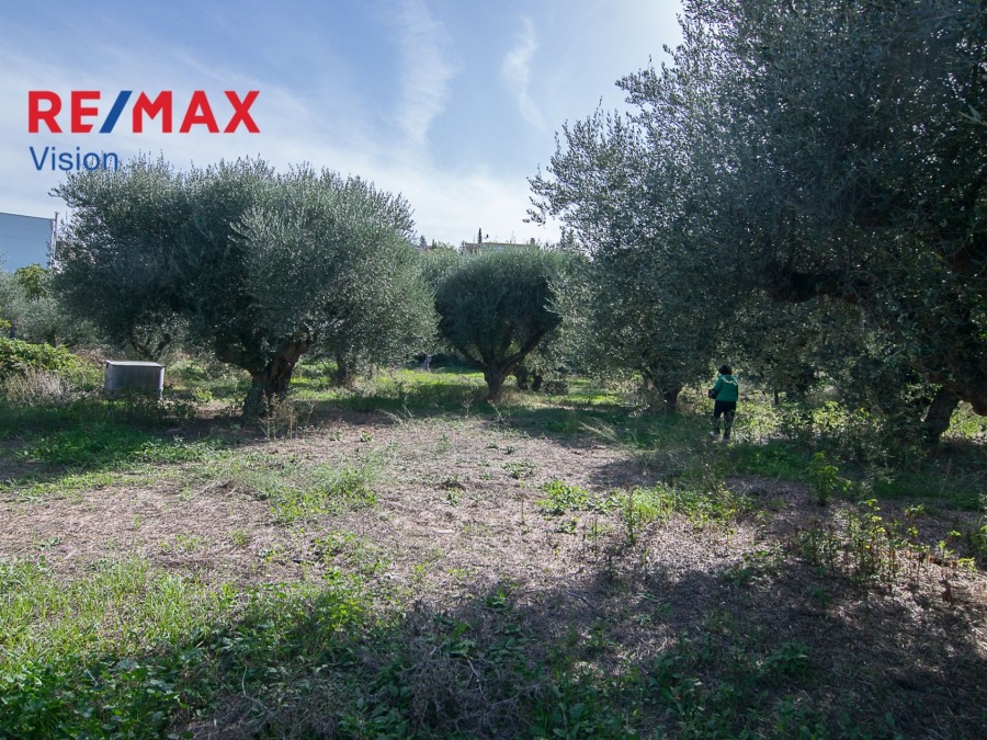 Οικόπεδο 408 τ.μ., Προς πώληση, Βραχναίικα - 9