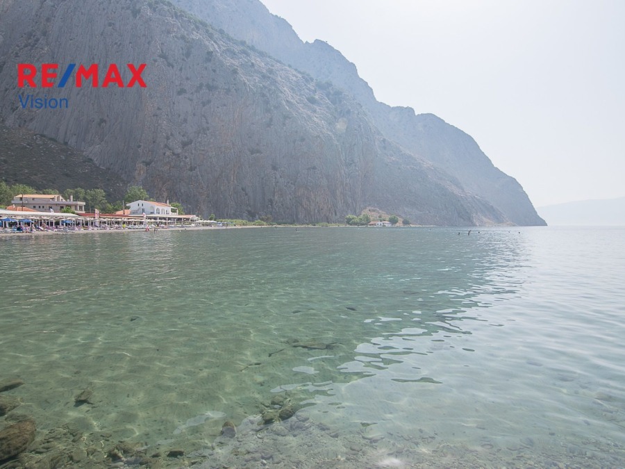 Οικόπεδο 4612,21 τ.μ., Προς πώληση, Χάλκεια, Κρυονέρι - 2