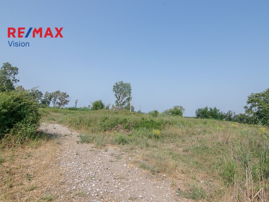 Οικόπεδο 4612,21 τ.μ., Προς πώληση, Χάλκεια, Κρυονέρι - 3