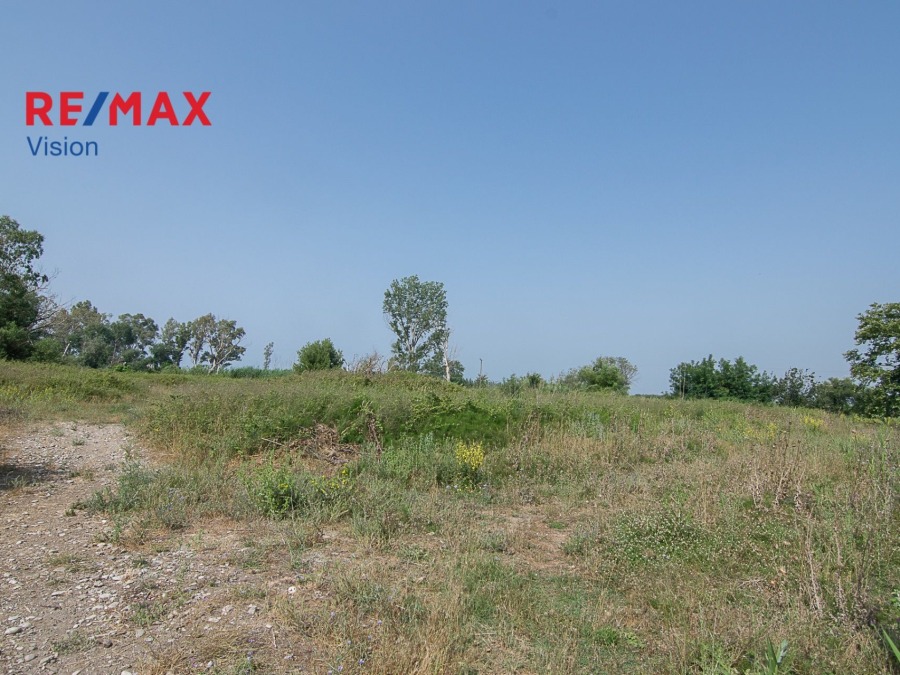 Οικόπεδο 4612,21 τ.μ., Προς πώληση, Χάλκεια, Κρυονέρι - 4