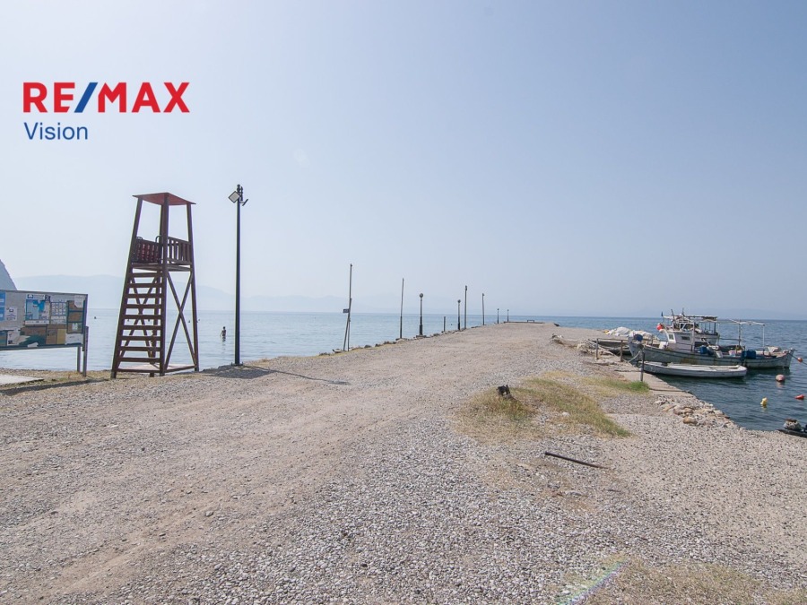 Οικόπεδο 4612,21 τ.μ., Προς πώληση, Χάλκεια, Κρυονέρι - 5