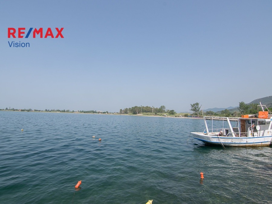 Οικόπεδο 4612,21 τ.μ., Προς πώληση, Χάλκεια, Κρυονέρι - 6