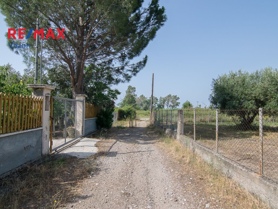 Οικόπεδο 4612,21 τ.μ., Προς πώληση, Χάλκεια, Κρυονέρι - 7