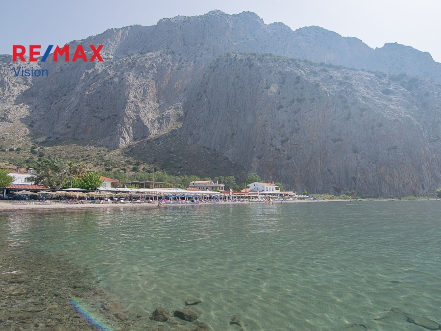 Οικόπεδο 4612,21 τ.μ., Προς πώληση, Χάλκεια, Κρυονέρι - 8