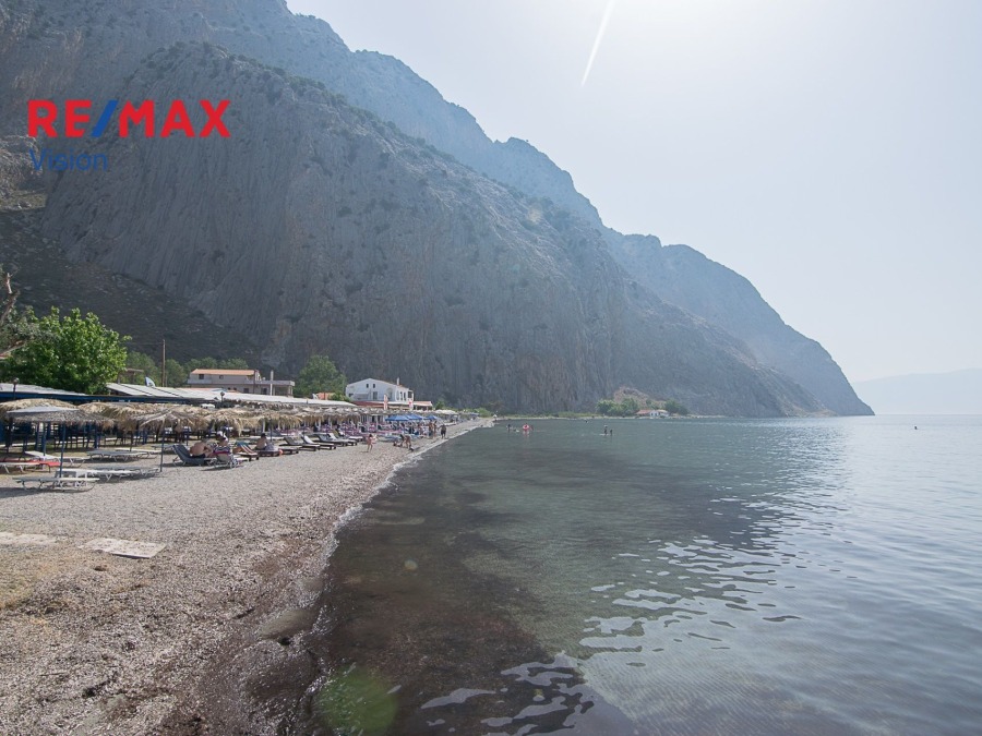 Οικόπεδο 4612,21 τ.μ., Προς πώληση, Χάλκεια, Κρυονέρι - 9