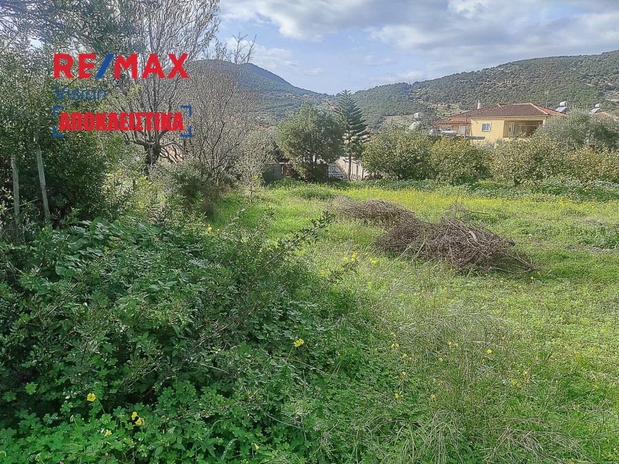 Οικόπεδο 372 τ.μ., Προς πώληση, Τολοφώνα, Άγιος Νικόλαος - 12