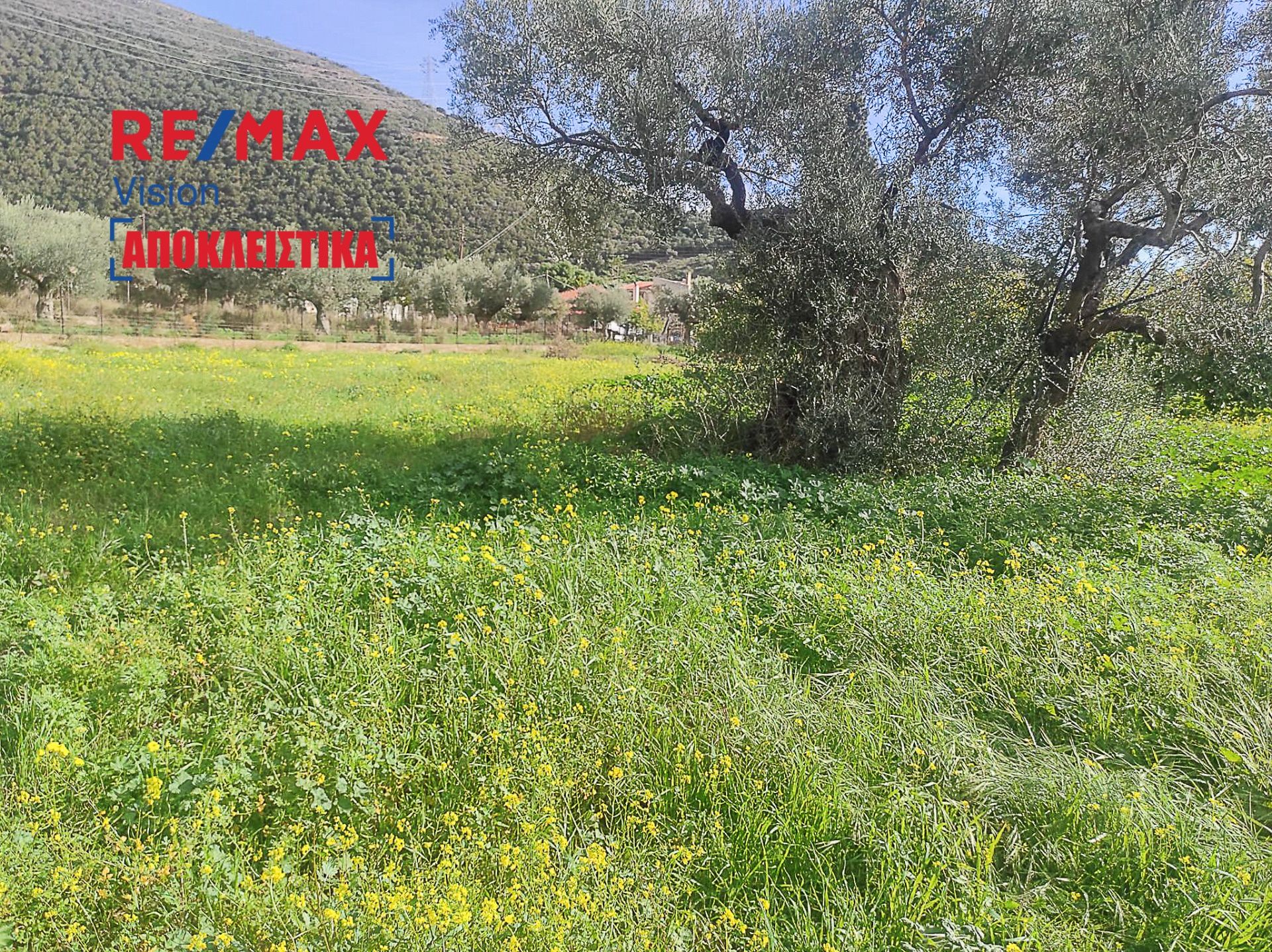 700064 – 8 Οικόπεδο 372 τ.μ., Προς πώληση, Τολοφώνα, Άγιος Νικόλαος - 8