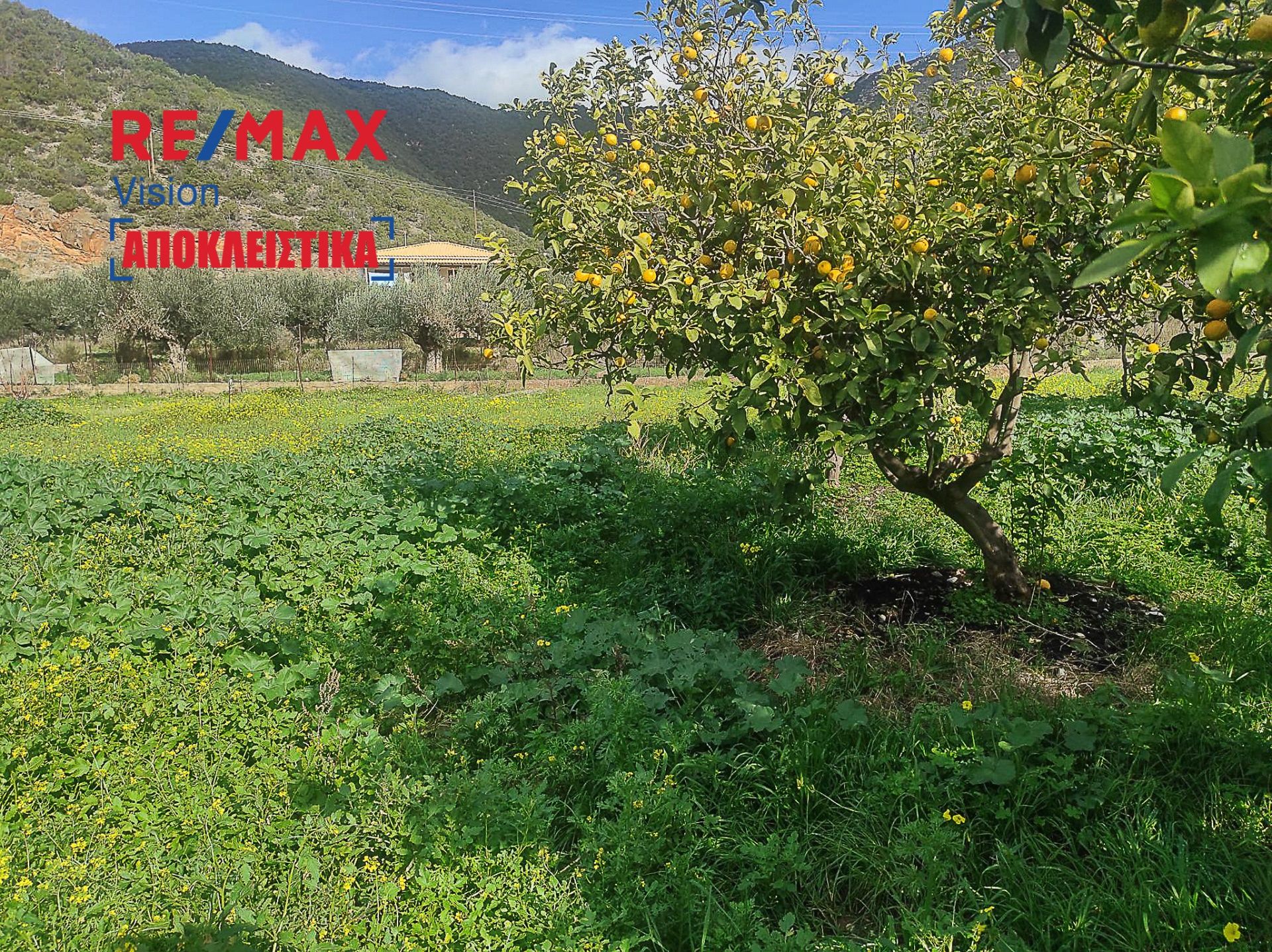 702211 – 10 Οικόπεδο 367 τ.μ., Προς πώληση, Τολοφώνα, Άγιος Νικόλαος - 10