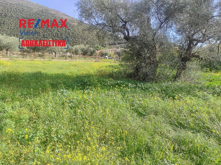 Οικόπεδο 367 τ.μ., Προς πώληση, Τολοφώνα, Άγιος Νικόλαος - 9