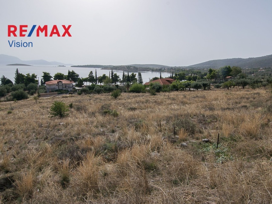759686 – Οικόπεδο Προς Πώληση, Γαλαξίδι, 4.000 τ.μ., €150.000 - 1