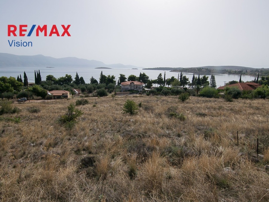 Οικόπεδο 4000 τ.μ., Προς πώληση, Γαλαξίδι - 2