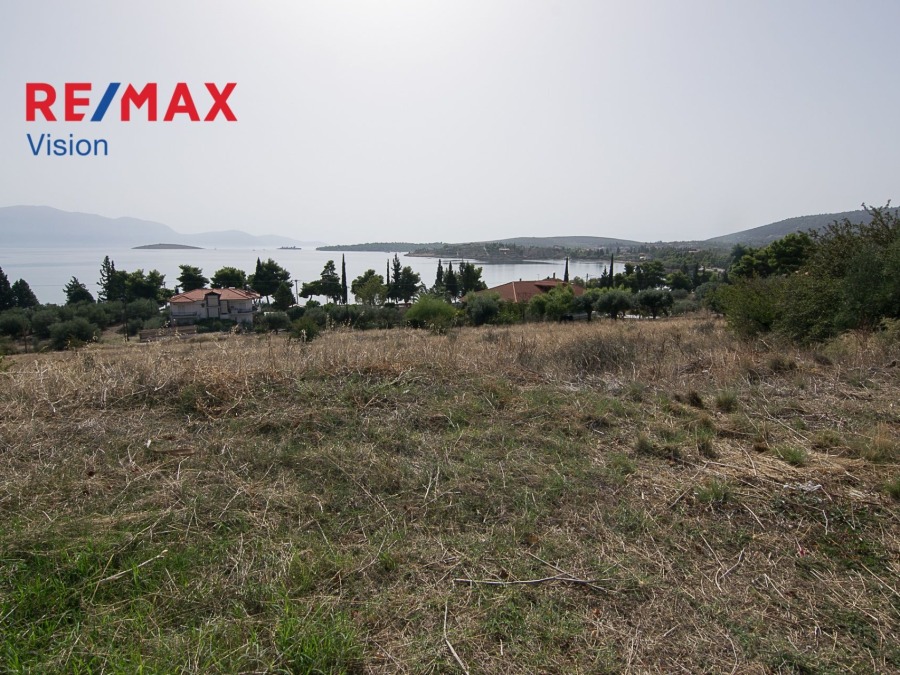 Οικόπεδο 4000 τ.μ., Προς πώληση, Γαλαξίδι - 3