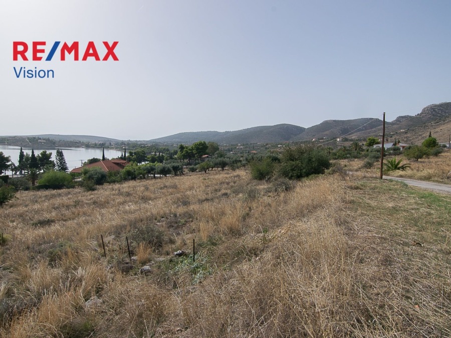 Οικόπεδο 4000 τ.μ., Προς πώληση, Γαλαξίδι - 4