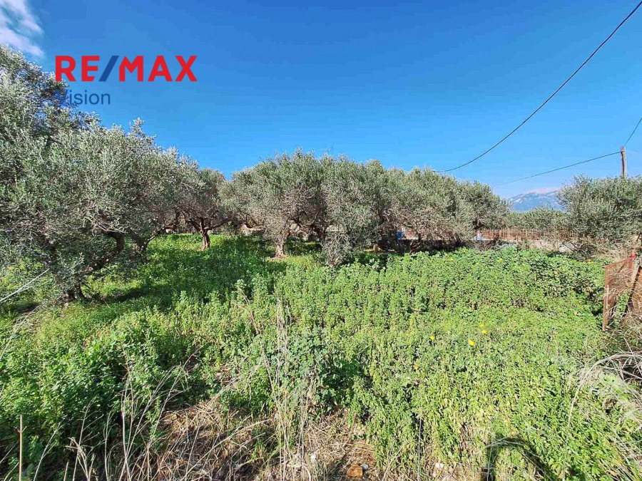 Οικόπεδο 1069,78 τ.μ., Προς πώληση, Ρίο, Άγιος Βασίλειος - 4