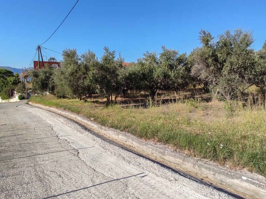 Οικόπεδο 1309 τ.μ., Προς πώληση, Ρίο, Πλατάνι - 5