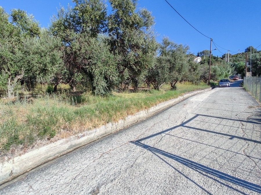 Οικόπεδο 1309 τ.μ., Προς πώληση, Ρίο, Πλατάνι - 6