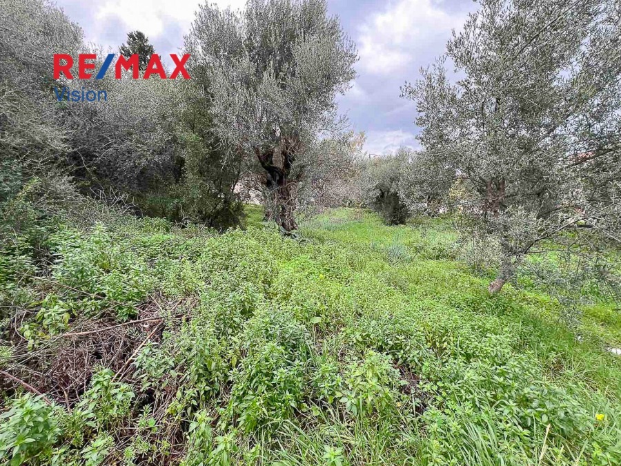 Οικόπεδο 624,48 τ.μ., Προς πώληση, Ερίνεο, Λαμπίρι - 5