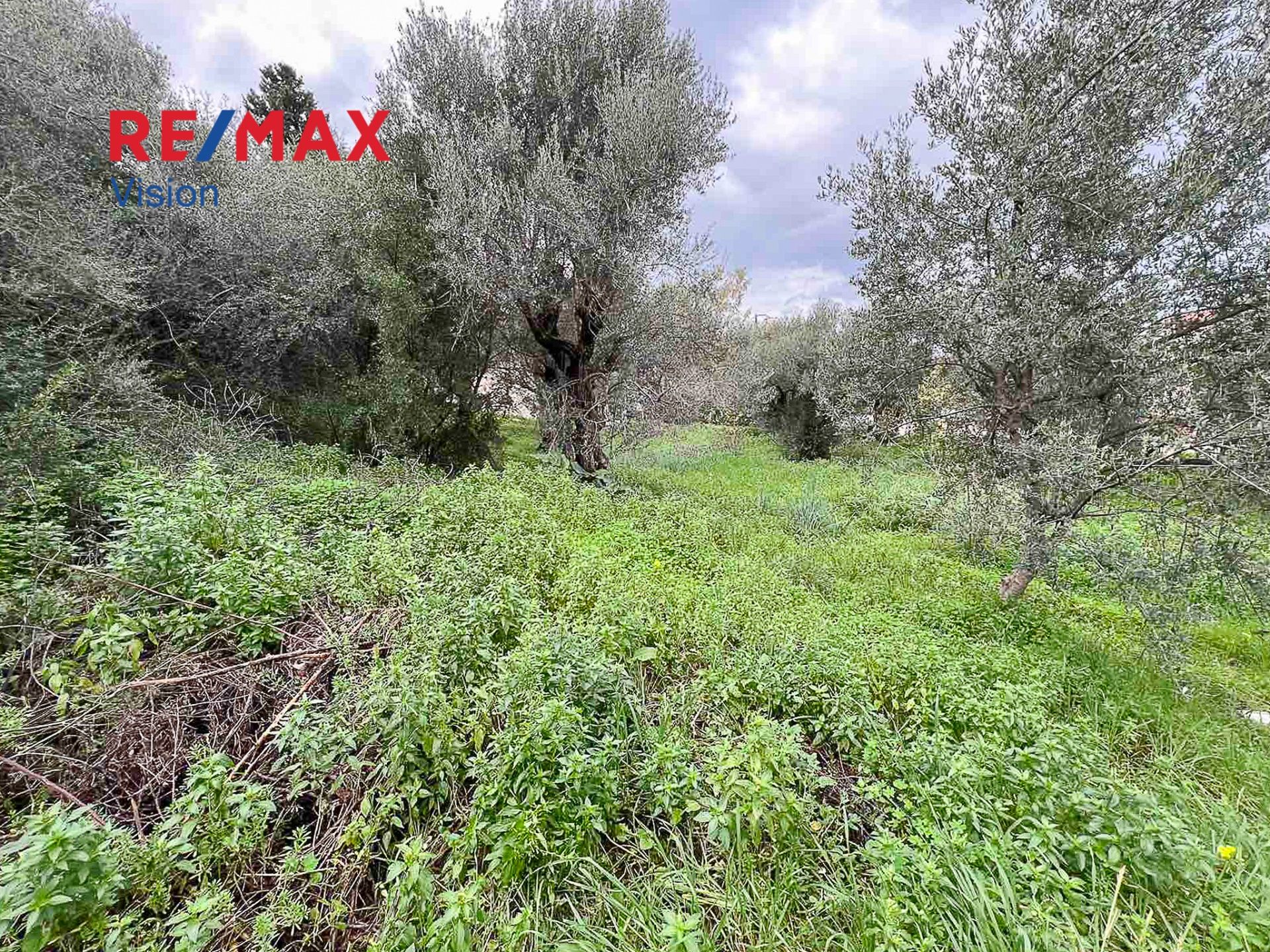 834856 – 5 Οικόπεδο 624,48 τ.μ., Προς πώληση, Ερίνεο, Λαμπίρι - 5