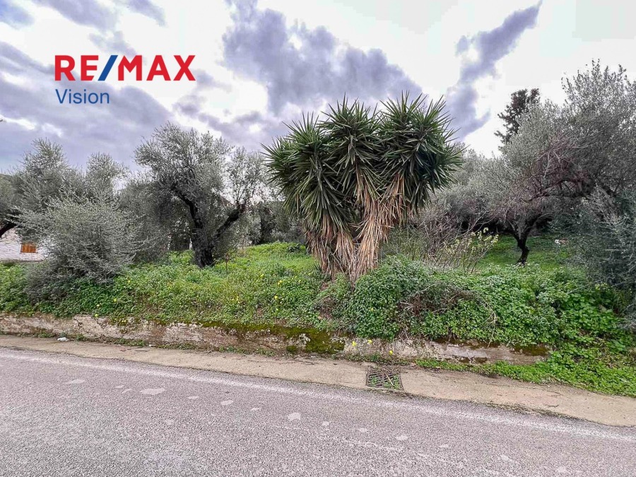 Οικόπεδο 624,48 τ.μ., Προς πώληση, Ερίνεο, Λαμπίρι - 6
