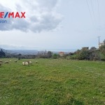 Οικόπεδο 4004,58 τ.μ., Προς πώληση, Πάτρα, Γούβα (835240) - 1