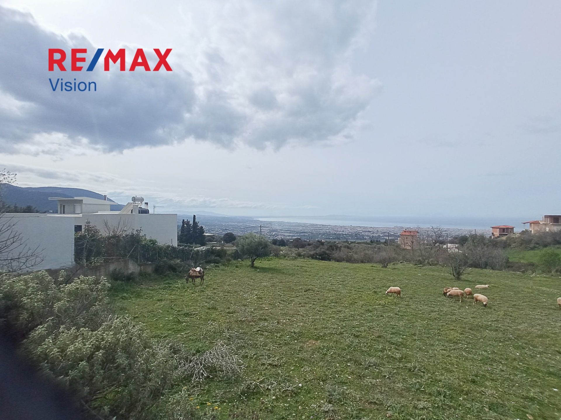 Οικόπεδο 4004,58 τ.μ., Προς πώληση, Πάτρα, Γούβα - 3