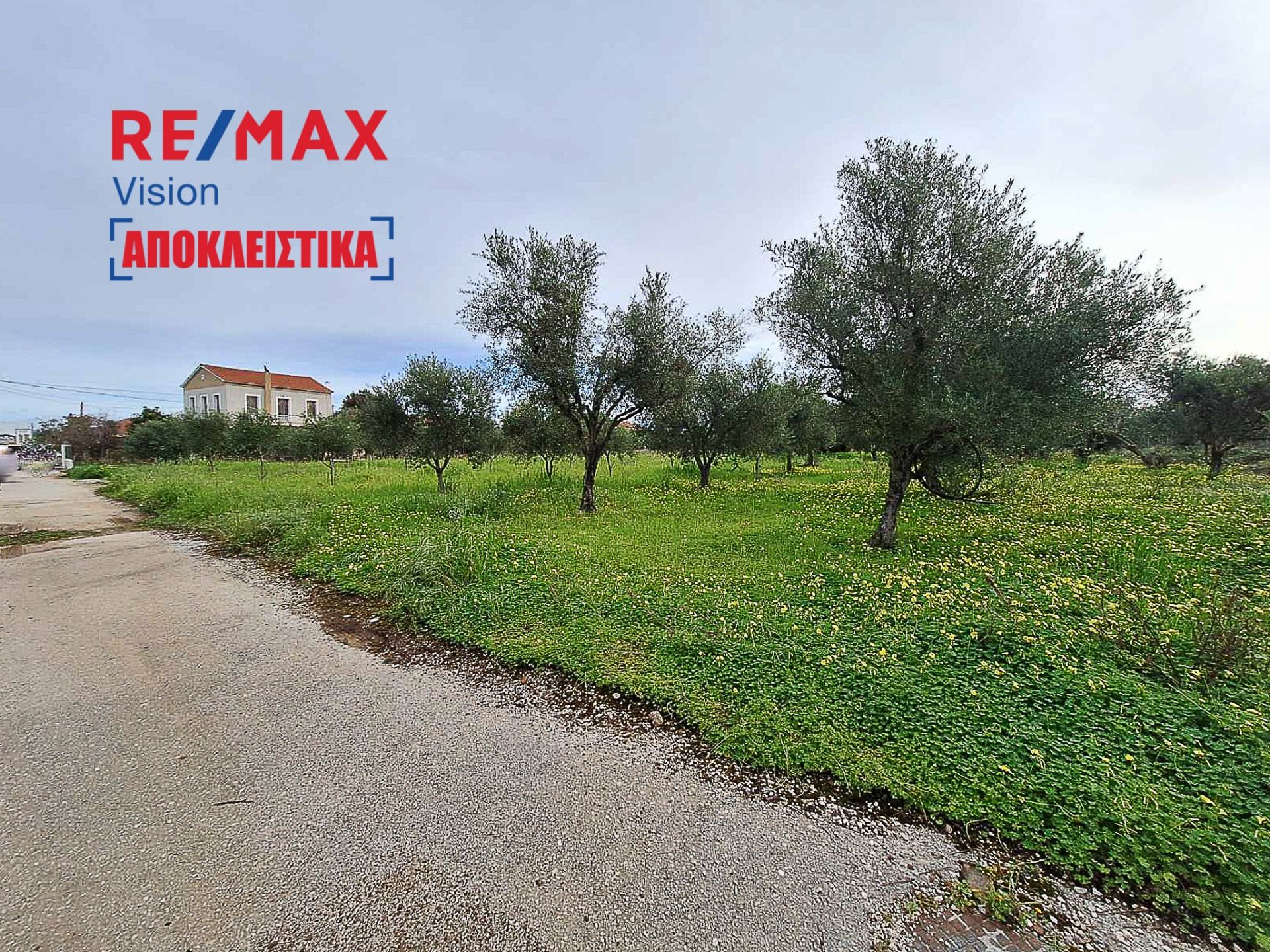 886225 – 1 Οικόπεδο 4000 τ.μ., Προς πώληση, Δυτικής Αχαΐας, Αλισσός - 1