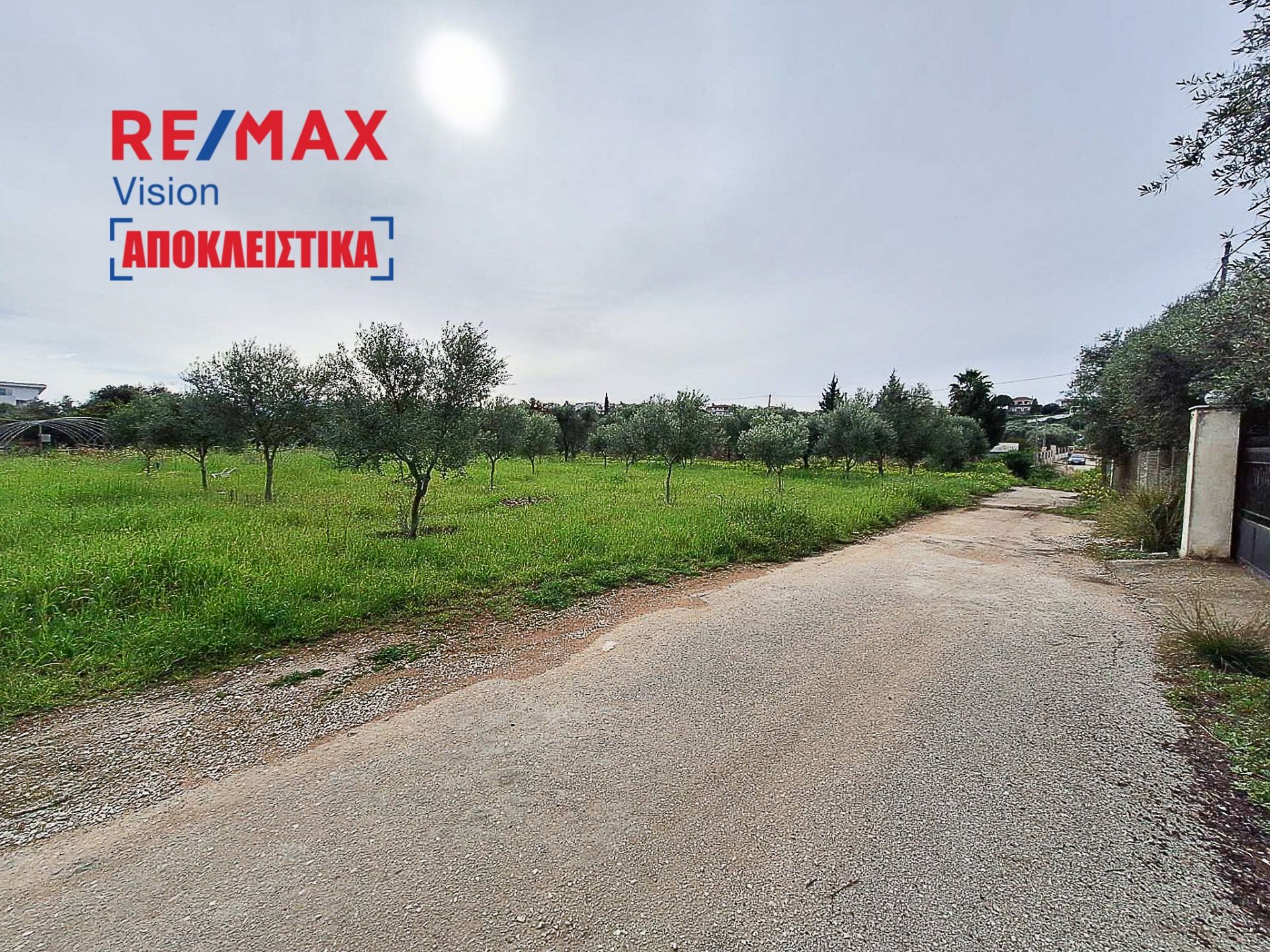 886225 – 2 Οικόπεδο 4000 τ.μ., Προς πώληση, Δυτικής Αχαΐας, Αλισσός - 2