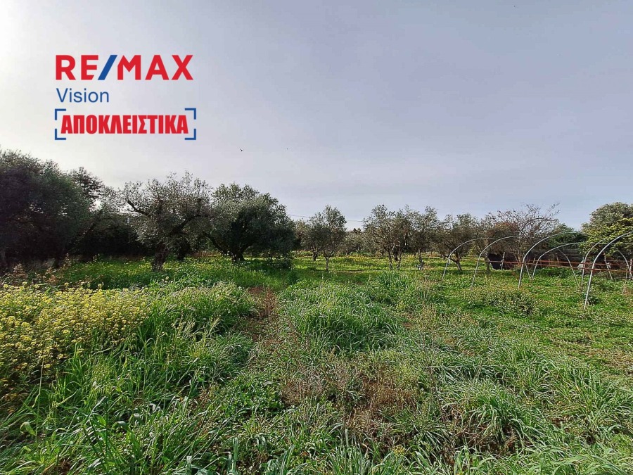 Οικόπεδο 4000 τ.μ., Προς πώληση, Δυτικής Αχαΐας, Αλισσός - 5