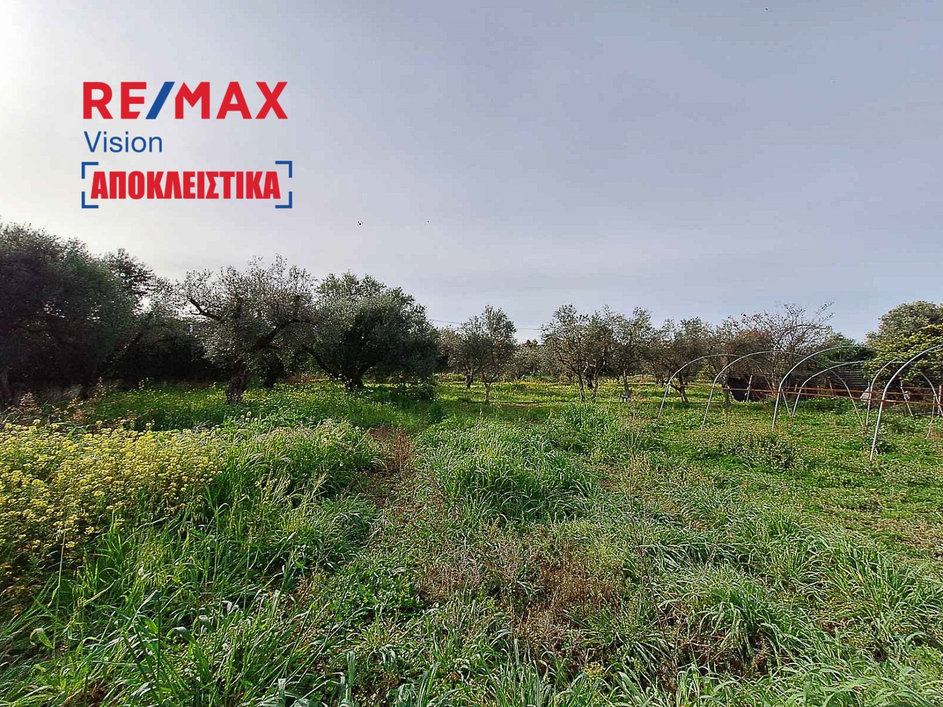 886225 – 5 Οικόπεδο 4000 τ.μ., Προς πώληση, Δυτικής Αχαΐας, Αλισσός - 5