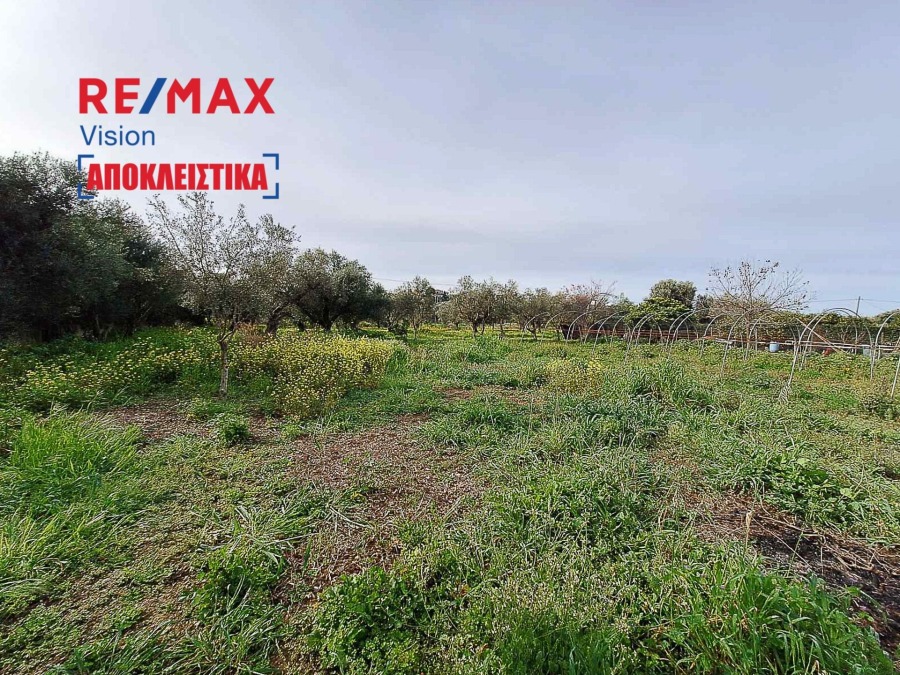 Οικόπεδο 4000 τ.μ., Προς πώληση, Δυτικής Αχαΐας, Αλισσός - 6