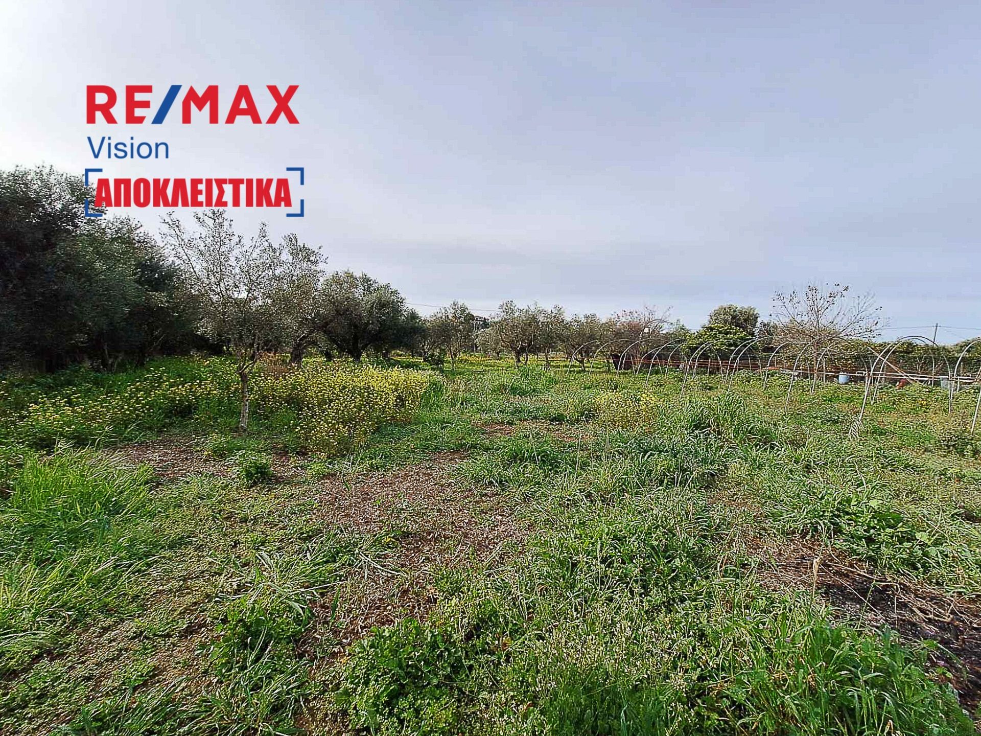 886225 – 6 Οικόπεδο 4000 τ.μ., Προς πώληση, Δυτικής Αχαΐας, Αλισσός - 6