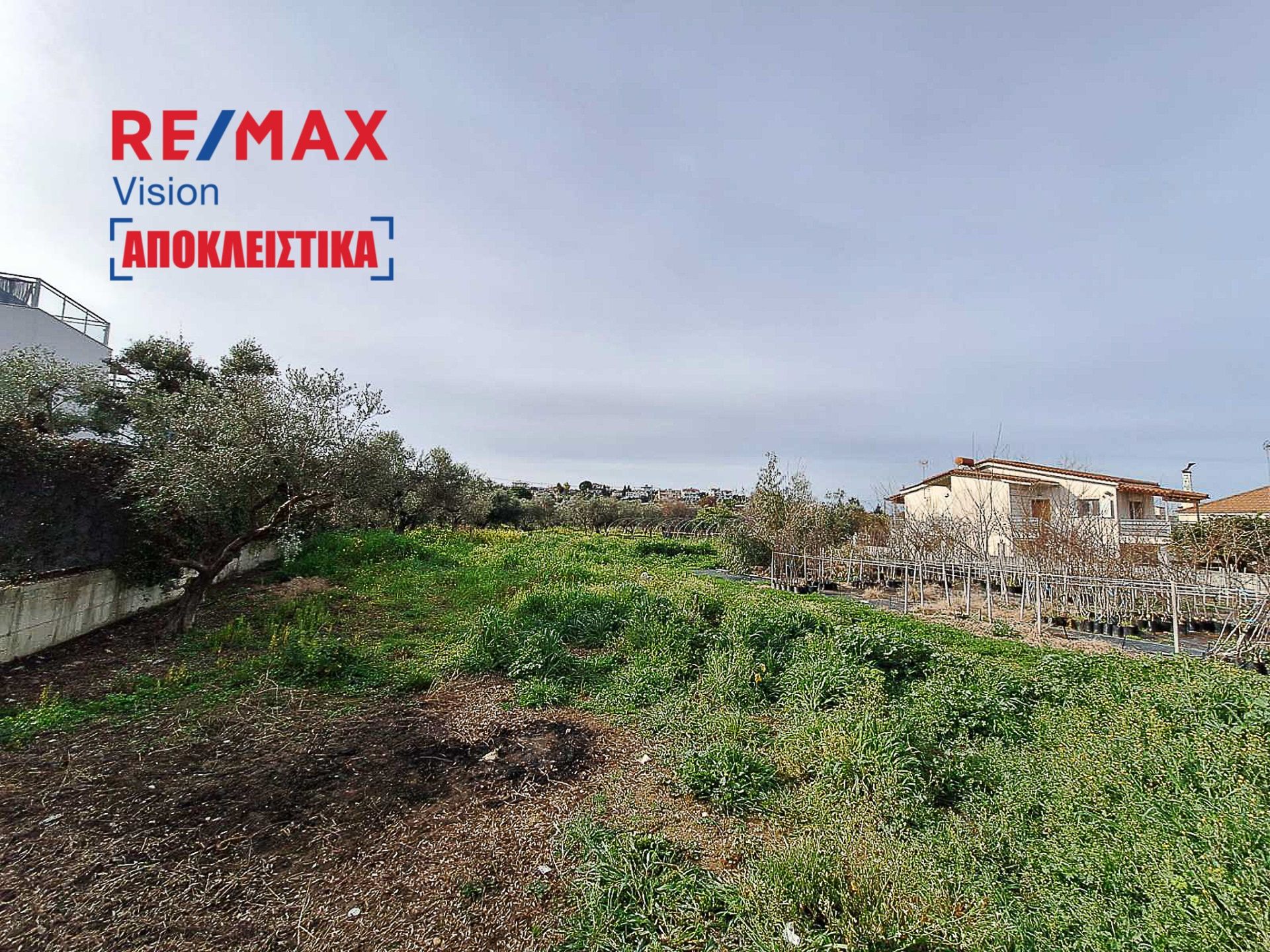 886225 – 9 Οικόπεδο 4000 τ.μ., Προς πώληση, Δυτικής Αχαΐας, Αλισσός - 9