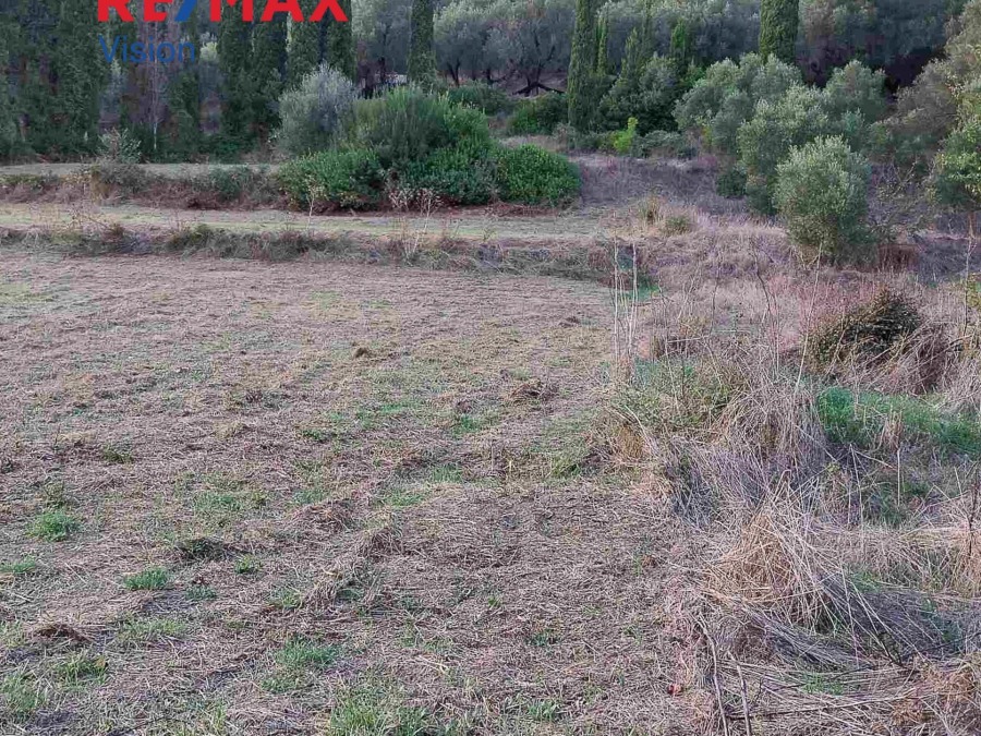 Οικόπεδο 4858 τ.μ., Προς πώληση, Κέρκυρα - 3